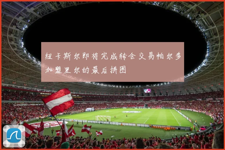 纽卡斯尔即将完成转会交易帕尔多加盟里尔的最后拼图